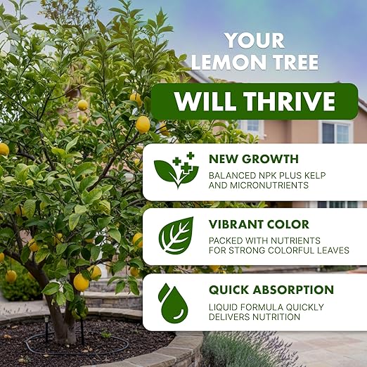Lemon Tree Fertilizer for Lemon Trees and Citrus, Liquid Plant Food, 32 oz (1 Quart)