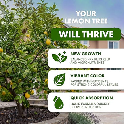 Lemon Tree Fertilizer, Complete Lemon Tree Plant Food, 8 oz (250mL)