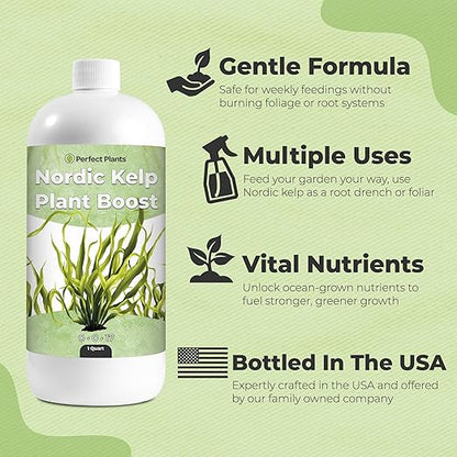 Nordic Kelp Boost Liquid - Perfect Plants (1 Quart)