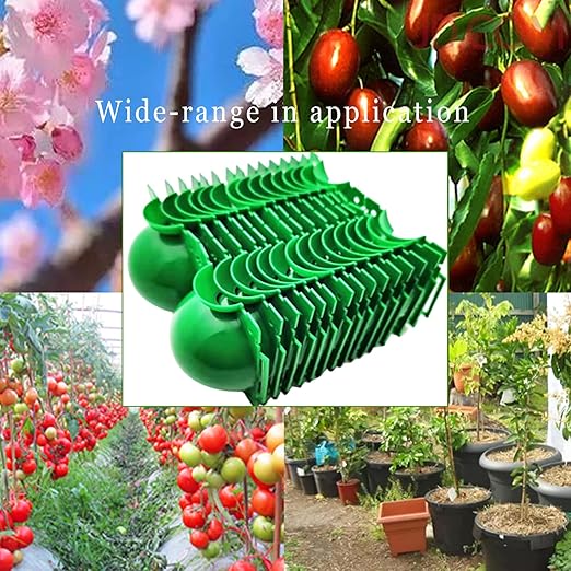 Reusable Plant Rooting Ball, Markeny Plant Propagation Root Ball Effective Invisible Propagation(Green, 15PCS)