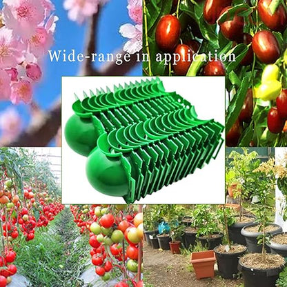 Reusable Plant Rooting Ball, Markeny Plant Propagation Root Ball Effective Invisible Propagation(Green, 15PCS)