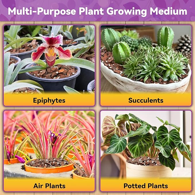 Riare 6QT Orchid Potting Mix, Natural Orchid Bark Potting Mix Soil Medium with Pine Bark and Perlite, Premium Orchid Repotting Kit for Phalaenopsis Dendrobiums, Enhanced Drainage & Root Expansion
