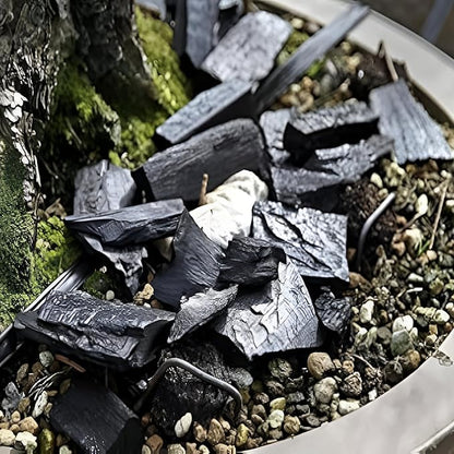 Go Garden Go Horticultural Charcoal for Potting Orchid/Succulent/Adenium/Terrarium Potting, Ornamental Plants Potting Other Gardening Purposes Natural Filter 450 G