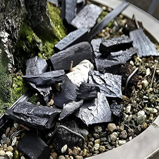Go Garden Go Horticultural Charcoal for Potting Orchid/Succulent/Adenium/Terrarium Potting, Ornamental Plants Potting Other Gardening Purposes Natural Filter 450 G