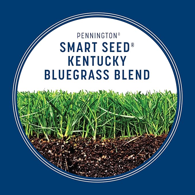 Pennington Smart Seed Kentucky Blue Grass Mix 3 lb
