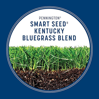 Pennington Smart Seed Kentucky Blue Grass Mix 3 lb