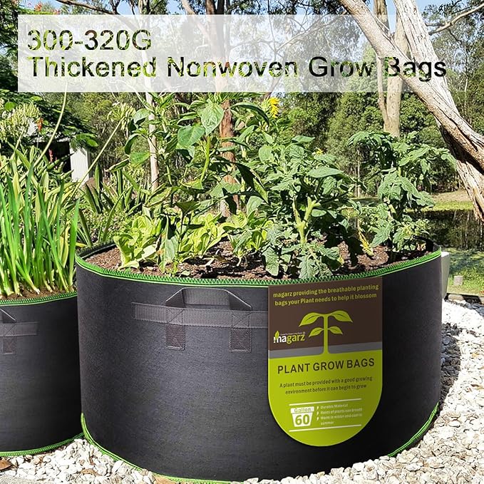 2-Pack 60 GallonFabric Flower Pots Garden Felt Grow Bags with Handle (Black)