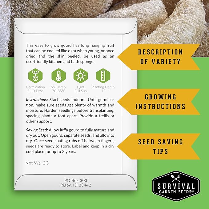 Survival Garden Seeds - Luffa or Loofah Seed for Planting - 2 Packets with Instructions to Plant and Grow Ornamental Gourds in Your Home Vegetable Garden - Non-GMO Heirloom Variety