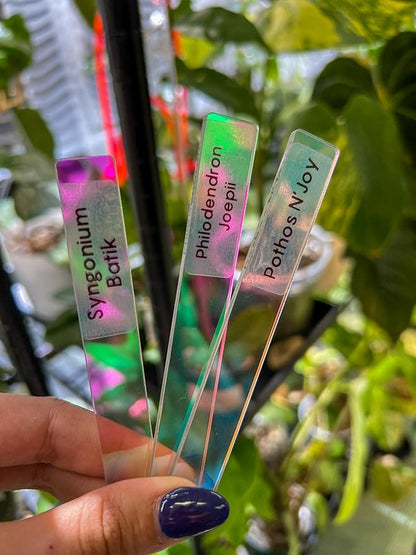 Iridescent Acrylic Plant Tags – Waterproof, Reusable Garden Markers for Houseplants, Herbs Outdoor Plants – Durable & Stylish Plant Labels for Indoor & Outdoor Use (Set of 25) by Propagation Diaries™