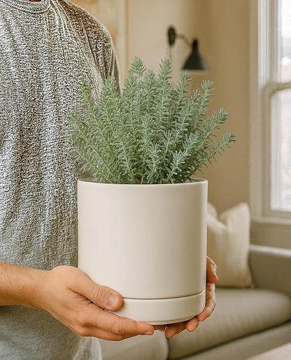 D'vine Dev 6.5 Inch Ceramic Planter Pot with Drainage Hole and Saucer, Indoor Cylinder Round Planter Pot, Oatmeal, 94-O-C-8