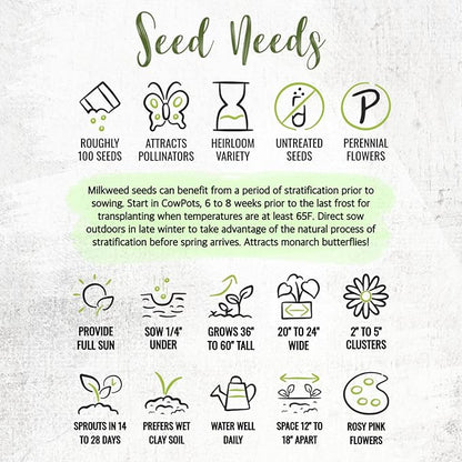 Seed Needs Milkweed Seeds for Planting Pink Swamp Asclepias incarnata - Heirloom & Untreated Perennial Flower Seed to Plant a Monarch Butterfly Garden (10 Packs)