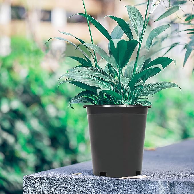 Planter Nursery Pots 0.74 Gallon Pots for Plants, Injection Molded Plastic Nursery Pots, Plant Container 0.74 Gal 10-Pack