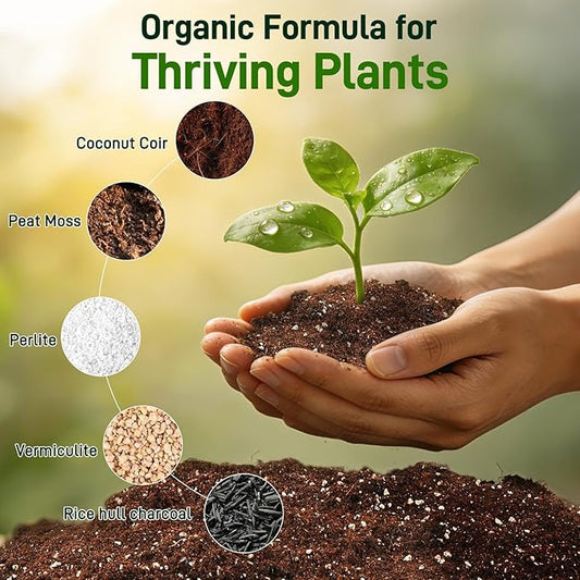 3QT Potting Soil Mix for Indoor Plants - Contains Perlite, Peat Moss, Coco Coir & Rice Charcoal, Natural & Organic Material with Well-Draining, Light & Aerated Texture for Healthy Roots & Fast Growth