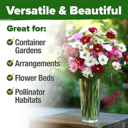 HOME GROWN Cosmos Flower Seeds Bulk Pack for 2026 (1.8 oz) 8,000+ Heirloom Annual Wildflower Seeds Pollinator-Friendly Mix for Pollinators & Outdoor Gardens