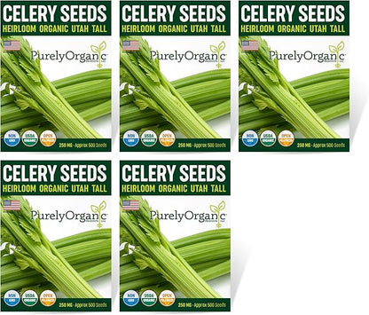 Organic Utah Tall Celery Seeds - USDA Organic, Non-GMO, Open Pollinated, Heirloom, USA Origin (5 Packets - 1.25 Grams - Approx 2500 Seeds)