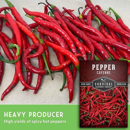 Cayenne Pepper Seeds for Planting | Hot Heirloom Non-GMO Red Peppers with 30,000–50,000 Scoville Heat – Survival Garden Seeds (1 Pack)