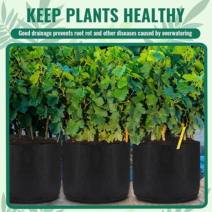 Zubebe 8 Pcs 100 Gallon Plant Grow Bags Large Reusable Planting Pots Nonwoven Fabric Grow Pot Aeration Fabric Garden Bed Outdoor Cloth Garden Containers for Flowers Fruits Vegetables, Black