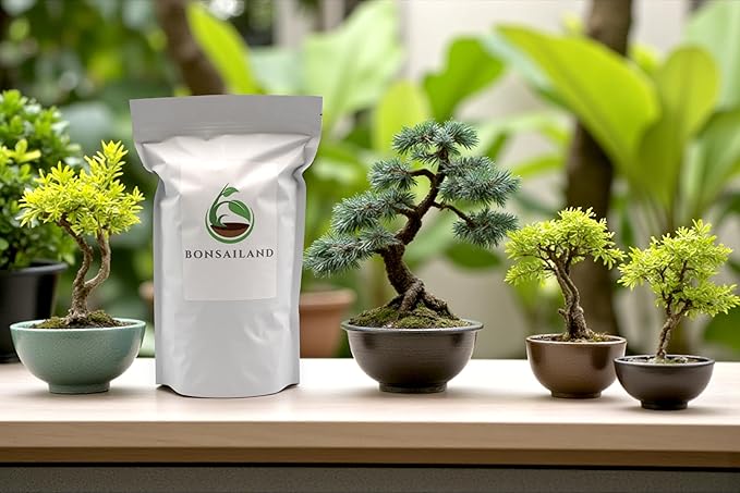Premium Bonsai Soil Mix with Akadama, Pumice, Lava Rocks, Coco Coir, Fast Draining, Organic, 2 Quart