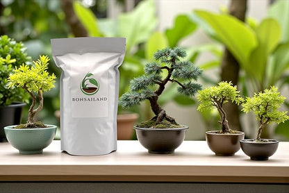 Premium Bonsai Soil Mix with Akadama, Pumice, Lava Rocks, Coco Coir, Fast Draining, Organic, 2 Quart
