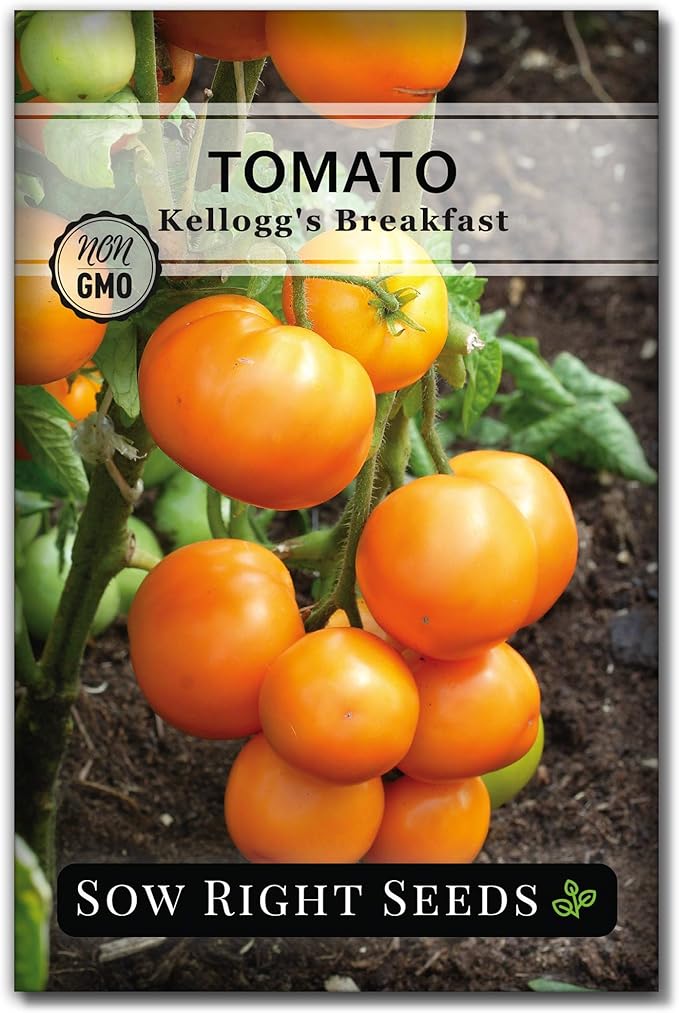 Sow Right Seeds - Kellogg’s Breakfast Tomato Seeds for Planting - Non-GMO Heirloom Packet with Instructions to Plant a Home Vegetable Garden - Beefsteak Slicer with Orange-Yellow Skin - Mild Taste (1)