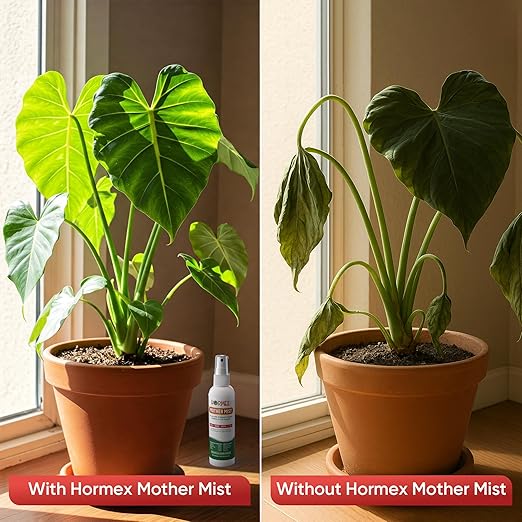 Hormex Mother Mist Cal-Mag-Iron + B1 Plant Nutrient Deficiency Spray - Boost Growth, Strength & Cloning Success - All Purpose Foliar Spray for Houseplants, Flowers & Vegetables, 12oz