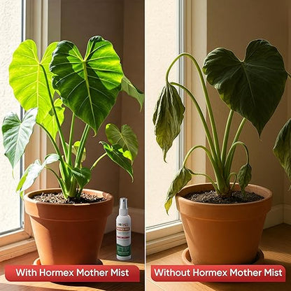 Hormex Mother Mist Cal-Mag-Iron + B1 Plant Nutrient Deficiency Spray - Boost Growth, Strength & Cloning Success - All Purpose Foliar Spray for Houseplants, Flowers & Vegetables, 12oz