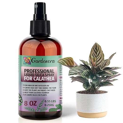 𝐒𝐔𝐏𝐄𝐑𝐈𝐎𝐑 Liquid Silica Boost Fertilizer and Supplement Spray for CALATHEA Plants – Pre-Mixed, Ready-to-Use Liquid Silicon Plant Superfood Mist for Indoor & Outdoor Plants – 8oz