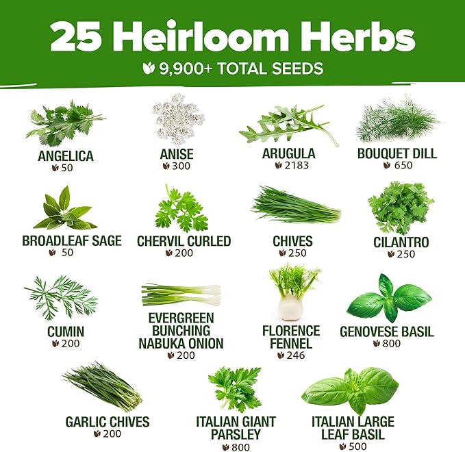 HOME GROWN 25 Herb Seeds for Planting 8,700+ Non-GMO Heirloom Seeds | Extra Large Variety Pack Herb Kit – Indoor Outdoor & Hydroponic | Culinary Seed Set | Grow Your Own Herbs | Gardening Gift