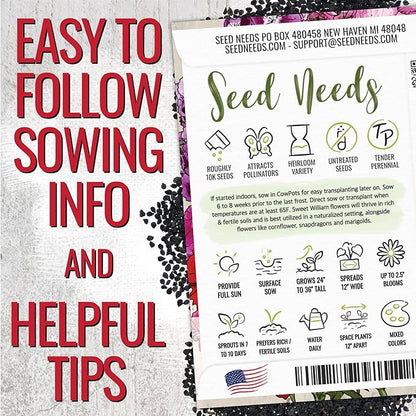 Seed Needs Sweet William Seeds for Planting Dianthus Flowers - Heirloom & Open Pollinated Annual Wildflower Seed Mix to Attract Butterflies, Bees & Other Pollinators to a Butterfly Garden (XL Pack)