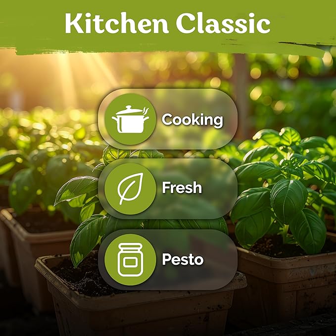 KVITER 2000 Italian Basil Seeds for Planting (Ocimum basilicum) - Sweet Genovese Basil, Heirloom & Non GMO, Classic Pesto Flavor - Herb Seeds to Plant in Containers, Outdoor & Indoor Herb Garden