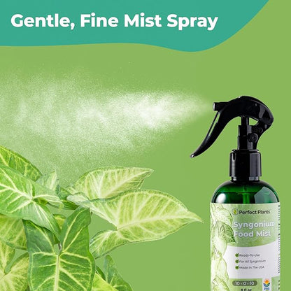 Syngonium Food Mist by Perfect Plants | Liquid Spray Foliar for Arrowhead Plants and Other Indoor Houseplants | Balanced Nutrient Blend Fortified with Boron (8 fl oz)