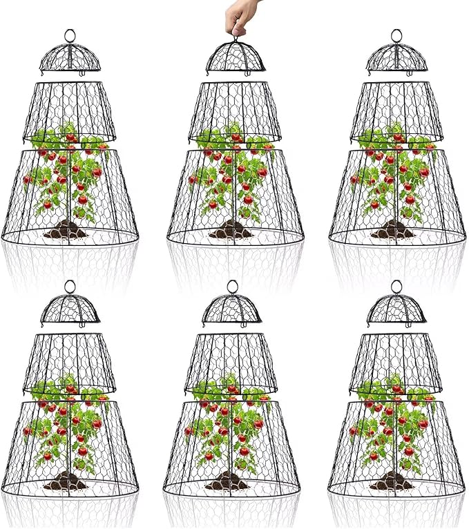Easy-Snap Open Design Chicken Wire Cloche (6-Pack) - Adjustable Garden Plant Protectors from Birds & Animals for Large Plants & Flowers, 14" Dx20 H (M)