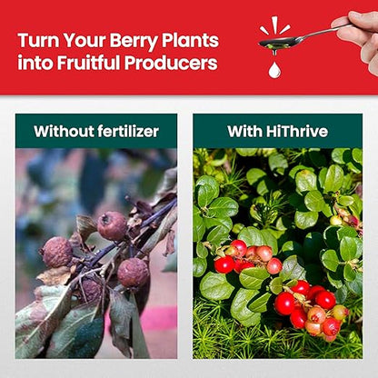 16oz Berry Fertilizer - Makes 16 Gallons of Fruit Tree Fertilizer for Elderberry, BlackBerry & More, Nutrient-Rich Liquid Plant Food for Strong Roots, Healthy Growth, and Flavorful Fruits