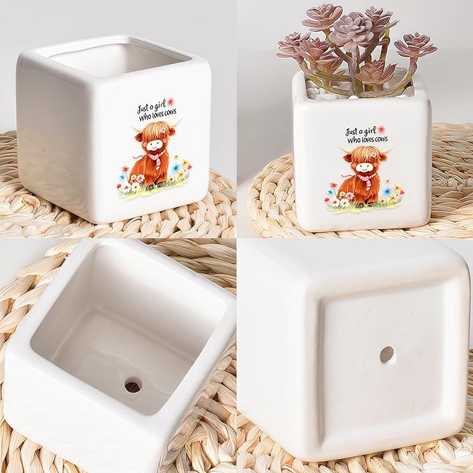 Highland Cow Succulent Planter Flower Plant Pot Small, Gifts for Women Teens Girls Kids, Cow Lovers Themed Stuff Accessories Things Decor Merch, Home Office Table Desk Decoration!