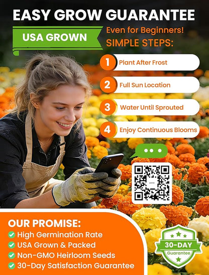 Tri-Color Marigold Seeds Bulk - 60,000+ Heirloom Flower Seeds for Planting Outdoors, Dwarf French Marigolds, Non-GMO Pollinator Magnet with High Germination, Quick Blooming
