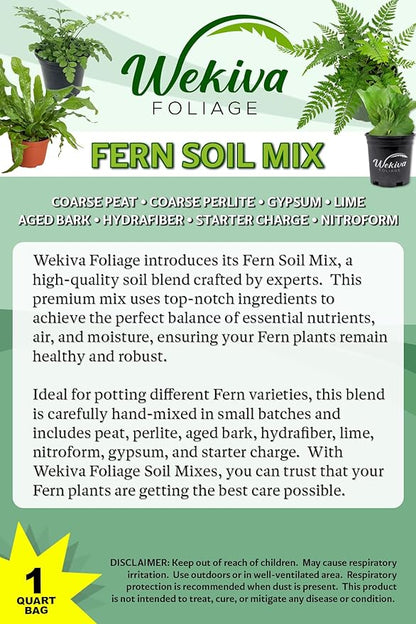 Fern Growing Soil Mix – 20 Quarts - Custom Soil Blend – Potting Mix for Fern Plants – Specially Developed by and for Professional Nursery Growers - Nutrient-Rich Formula