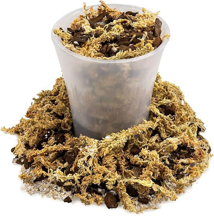 Premium Sphagnum Moss, Perlite and New Zealand Pine Bark Blend for Carnivorous Plants - 10 Quart - Perfect for Venus Fly Traps, Pitcher Plants, Sarracenia, Butterworts, and Sundews by GARDENERA