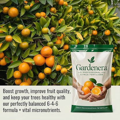 𝐁𝐄𝐒𝐓𝐒𝐄𝐋𝐋𝐄𝐑 Citrus Fertilizer + Vital Micronutrients - Perfect Balanced NPK for All Citrus - for Indoor and Outdoor Plants - Orange, Lime, Avocado and Lemon Tree Fertilizer [8 OZ]