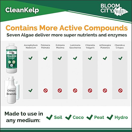 Organic Liquid Seaweed and Kelp Fertilizer Supplement by Bloom City, (8 oz) Concentrated Makes 45 Gallons