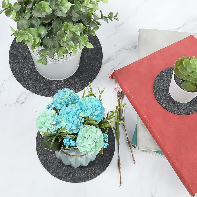 Plant Coasters, 6 PCS 3 Sizes Round Plant Saucers Felt Plant Mat Reversible Fabric Coaster Mat Absorbent Waterproof Plant Pot Saucers for Gardening Indoors Outdoor Pots, DIY Craft Supplies(4”, 6”, 8”)