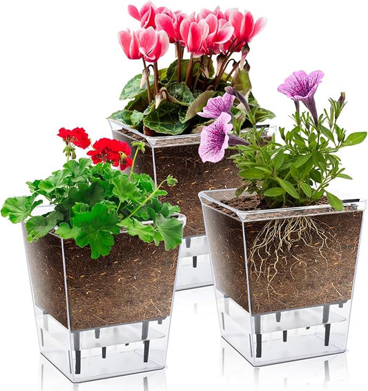 Self Watering Pots Set, 3 Pack Self Watering Pots for Indoor Plants, Clear Planter Pot with Deep Reservoir for Spider Plant, Orchid, African Violet (Clear, 3 Medium)
