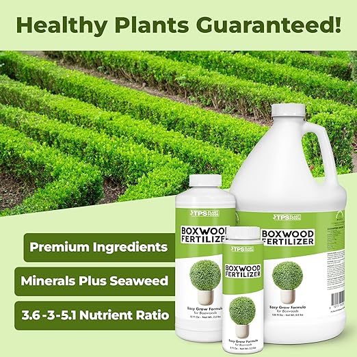 Boxwood Fertilizer, Complete Liquid Boxwood Shrub Plant Food, 32 oz (1 Quart)