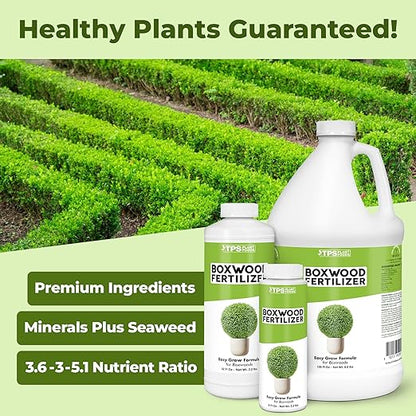 Boxwood Fertilizer, Complete Liquid Boxwood Shrub Plant Food, 32 oz (1 Quart)