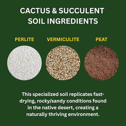 Cactus & Succulent Potting Soil Mix - Made with Perlite and Vermiculite - pH-Controlled for Indoor and Outdoor Plants - Made in USA - (8 Quarts)