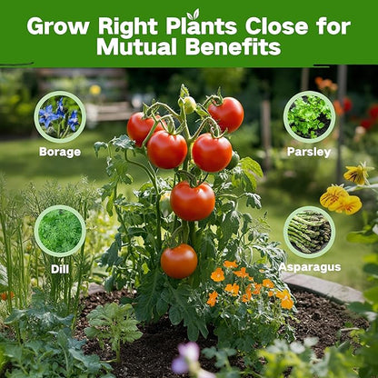 Lush&Dew Companion Plants Heirloom Seed Bank, Gardening Gifts for Women & Men, 32 Varieties 30,000+ Non-GMO Vegetable Seeds for Planting in Garden Bed Greenhouse, Survival Seed Kit for Food Supply