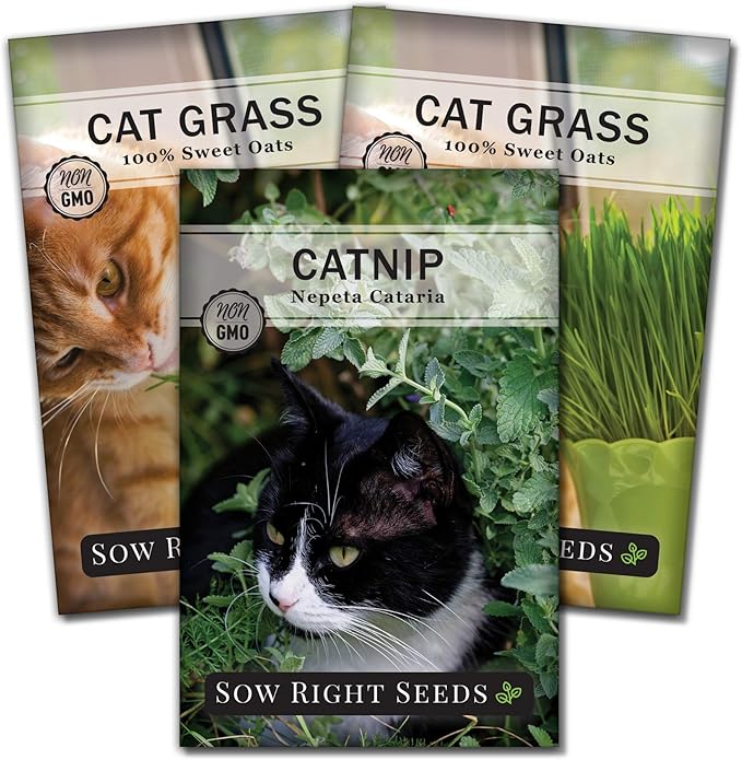 Sow Right Seeds - Catnip and Cat Grass Seed Collection for Planting Indoors or Outdoors - Includes Popular Herb Catnip and Cat Grass (100% Sweet Oat) - Non-GMO Heirloom Packet - Pet Friendly