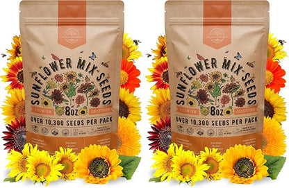 Sunflower Mix Seeds Pack 8 oz - Over 10,300 Non-GMO Heirloom Sunflower Seeds for Planting, Annual Flowers in Individual Seed Packet for Planting Home Garden Indoor & Outdoor Gardening (Pack of 2)