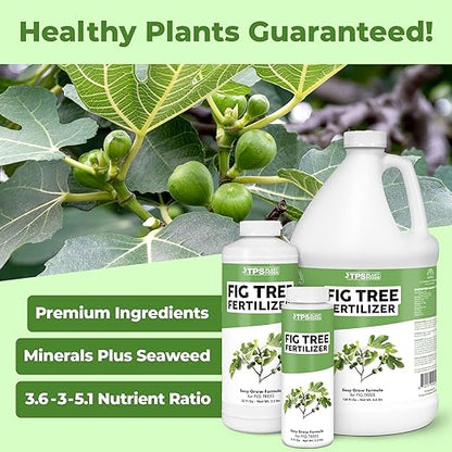 Fig Tree Fertilizer for Fig Trees, Great for Other Ficus Tree Varieties, Liquid Fertilizer by TPS Plant Foods, 8 oz (250mL)