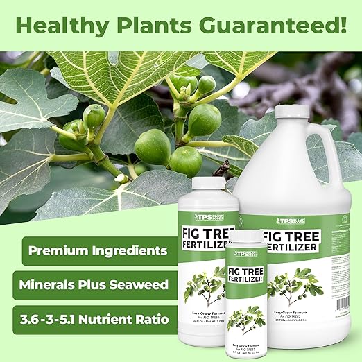 Fig Tree Fertilizer for Fig Trees, Great for Other Ficus Tree Varieties, Liquid Fertilizer by TPS Plant Foods, 32 oz (1 Quart)