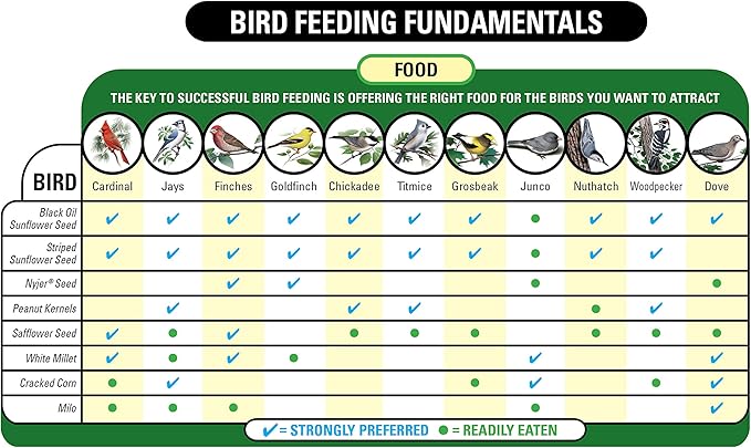 Wagner's 62051 Nyjer Seed Wild Bird Food, 5-Pound Bag (Pack of 2)